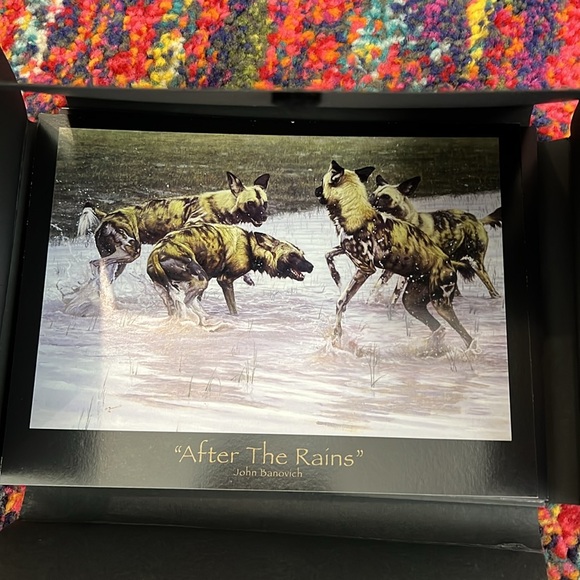 🤿New John Banovich set of postcards oil painting - Picture 2 of 8